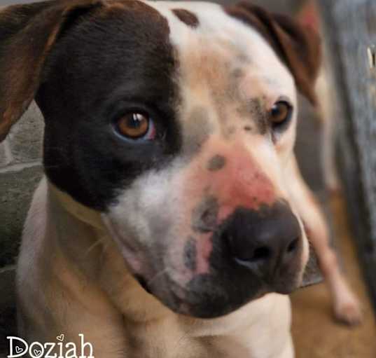 Photo of Doziah