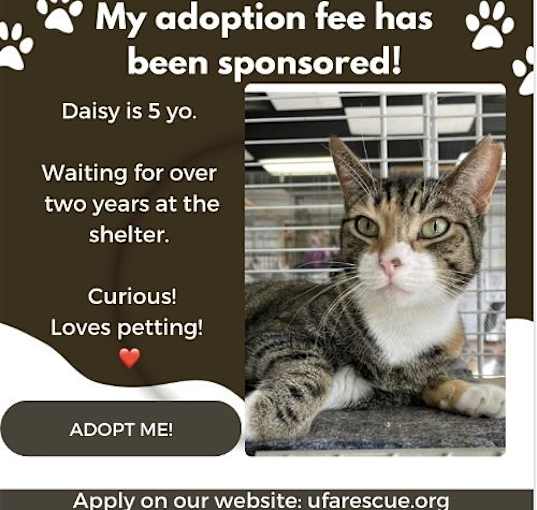 Photo of Daisy