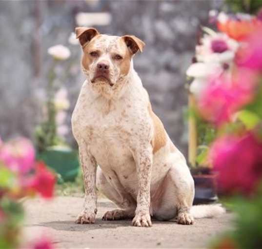 Photo of Leona