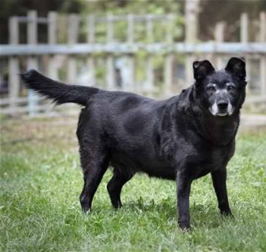 Photo of Stormy