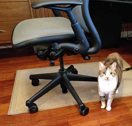 Photo of Hanna