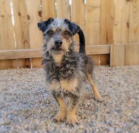 Photo of Oakley