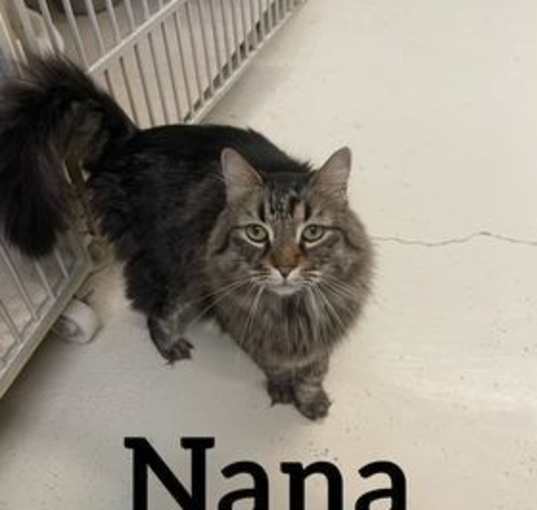 Photo of Nana