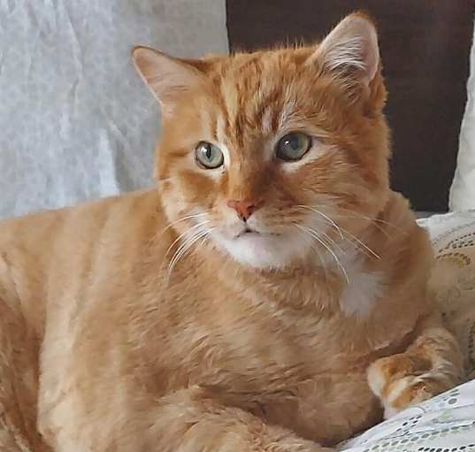 Photo of Leo
