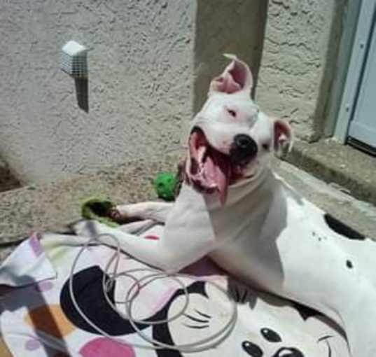 Photo of Masie