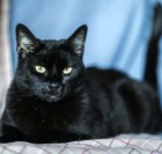 Photo of Charlie