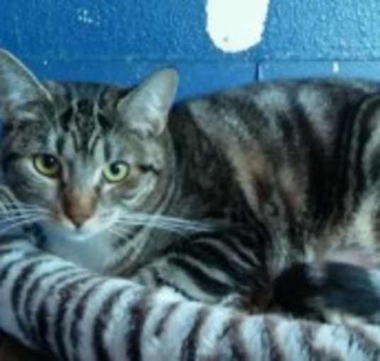 Photo of Holden