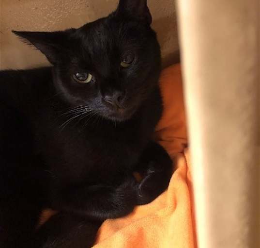 Photo of Susie Q