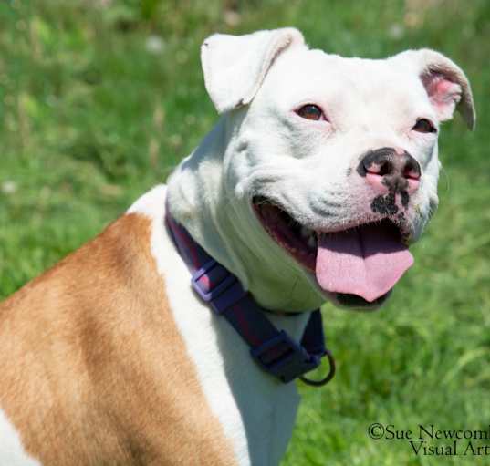 Photo of Queenie