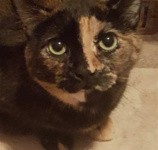 Photo of Delilah Bard