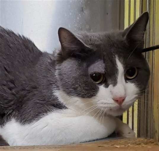 Photo of Ted