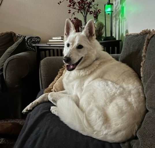 Photo of Yeti