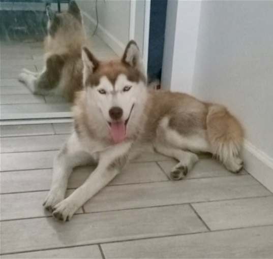 Photo of Sasha