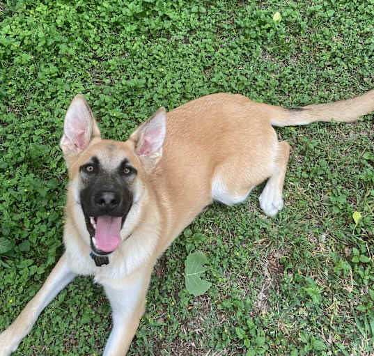 Photo of Patty