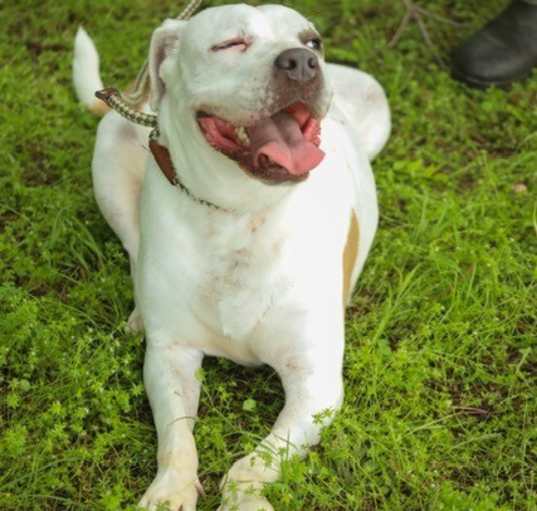 Photo of Moxie