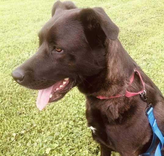 Photo of Cisco