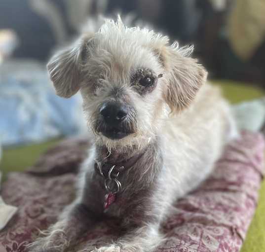Photo of Ellie