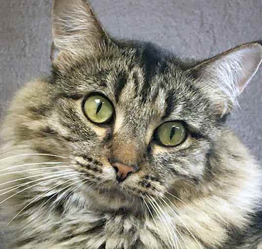 Photo of Decklin