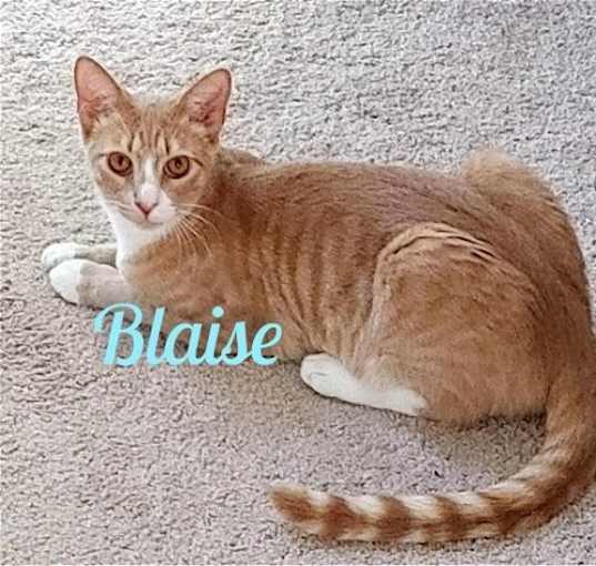 Photo of Blaise (mb)