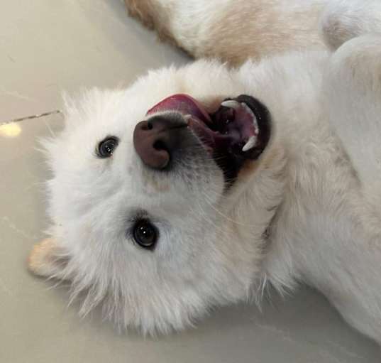 Photo of Benny
