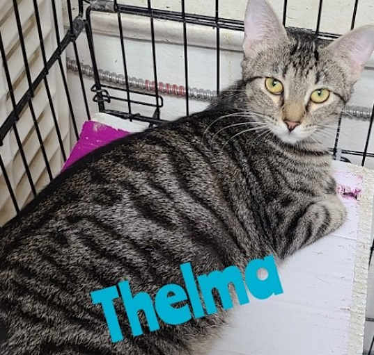 Photo of Thelma