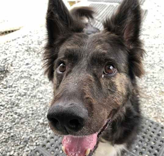 Photo of Walter
