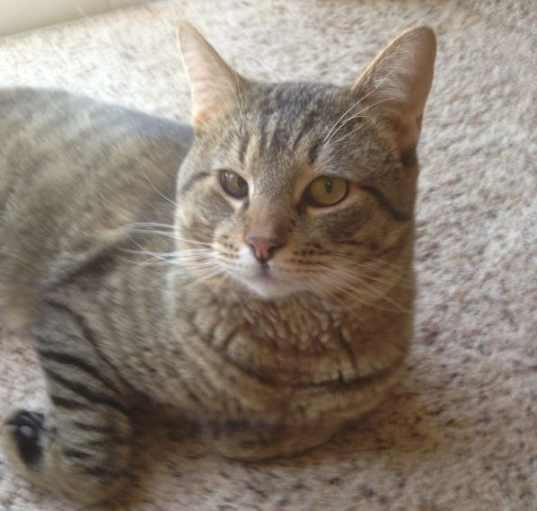 Photo of Rodger