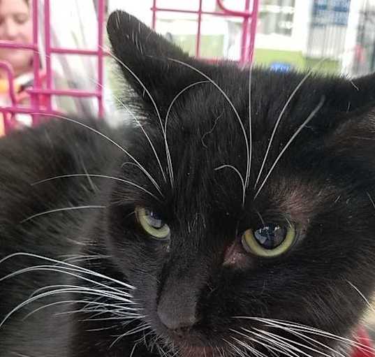 Photo of Temperance
