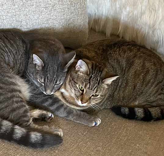 Photo of Vulcan