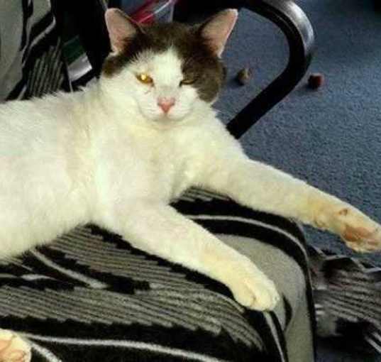 Photo of Butch