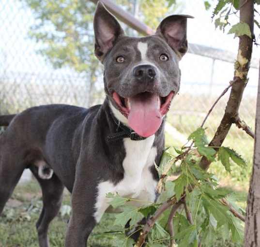 Photo of Rowen (long-term resident/sponsored fee)