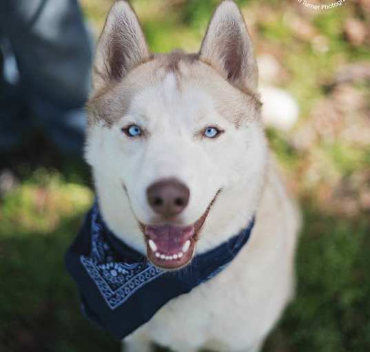 Photo of Tucker2
