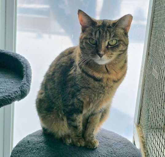 Photo of Zara