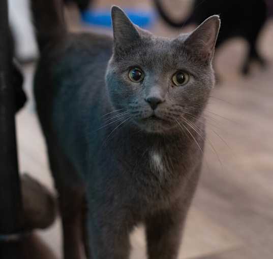 Photo of Jughead