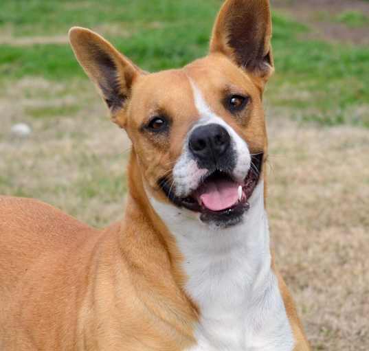 Photo of Star