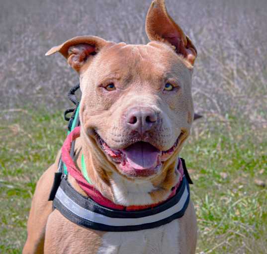 Photo of TANK