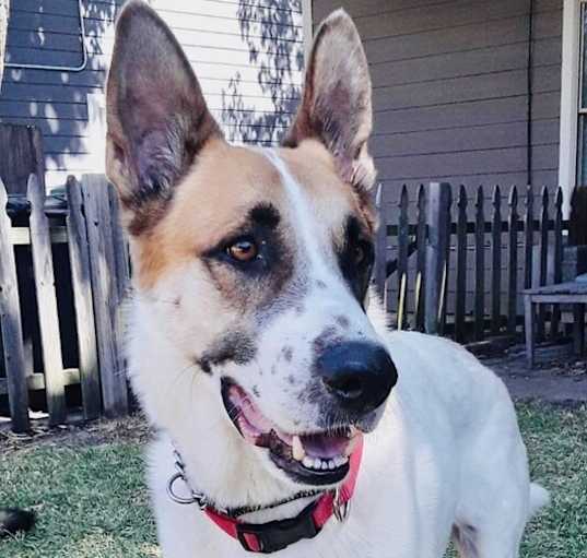 Photo of Yukon