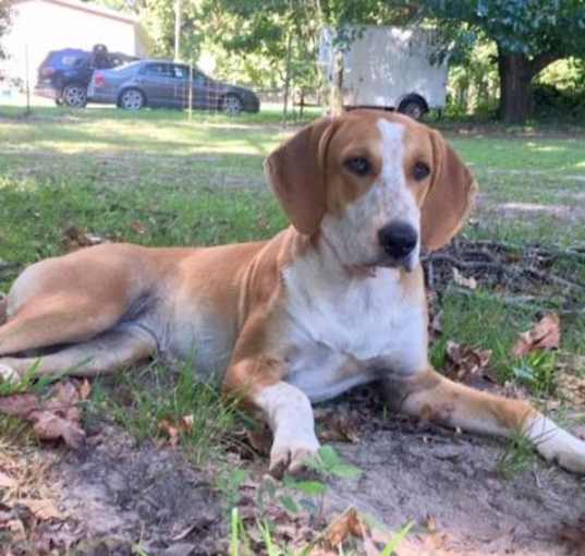 Photo of Cheyenne