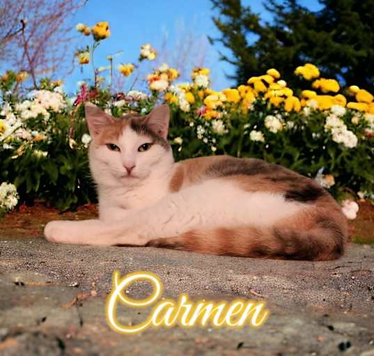 Photo of Carmen