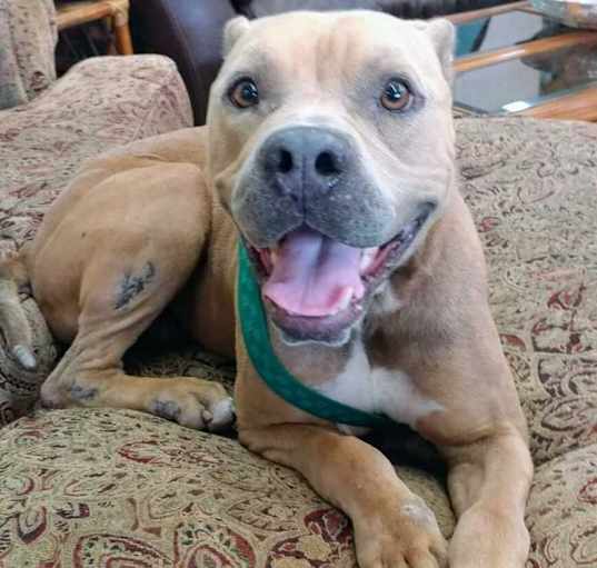 Photo of Tank
