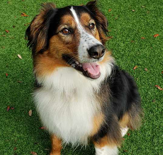 Photo of Zoeie