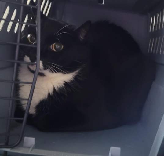 Photo of Tiny