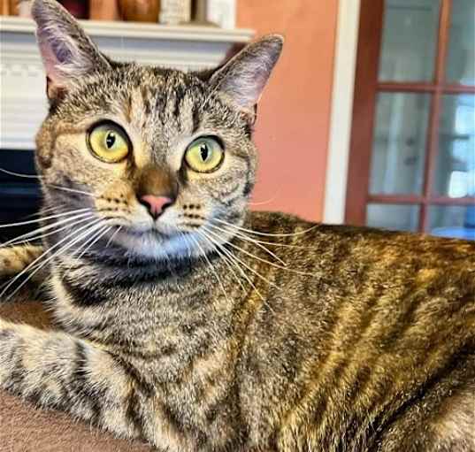 Photo of Lass
