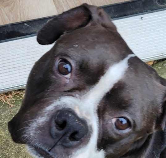 Photo of Nellie