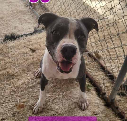Photo of Maggie