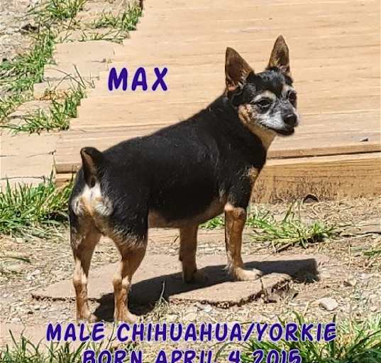 Photo of Max