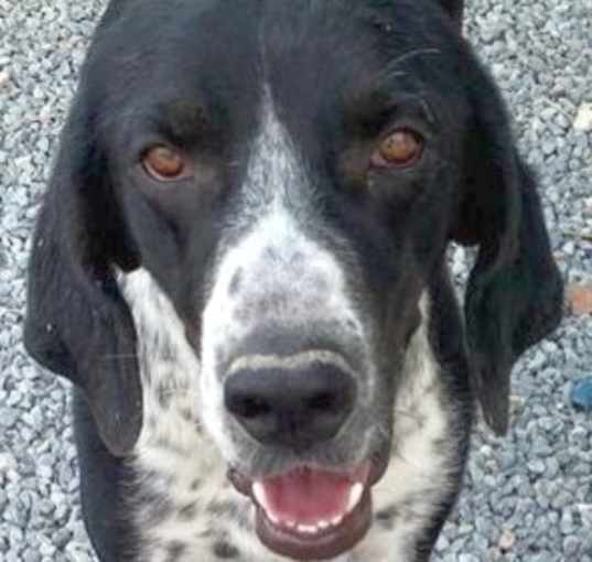 Photo of CARSON (Turkey) kt