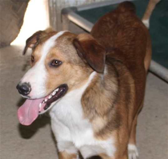 Photo of Kia