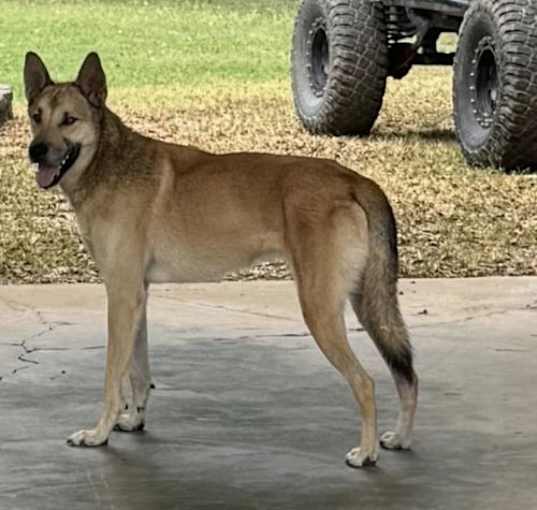 Photo of Diego