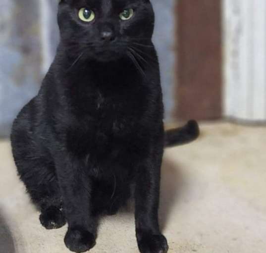 Photo of Teeny
